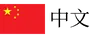 Chinese Website