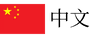 Chinese Website